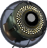 Cyber Eye
