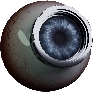 Enhanced Eye