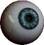Human Eye