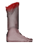 Leg Transplant